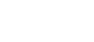lardini